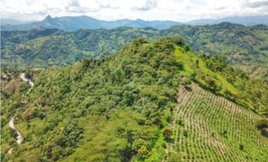 Casa en venta Vergara