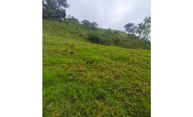 ANOLAIMA FINCA EN VENTA 15.000M2