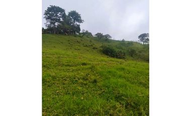 ANOLAIMA FINCA EN VENTA 15.000M2