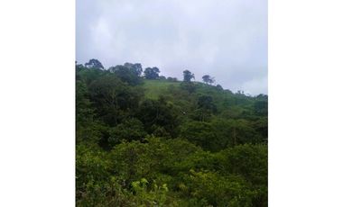 ANOLAIMA FINCA EN VENTA 15.000M2