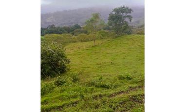 ANOLAIMA FINCA EN VENTA 15.000M2