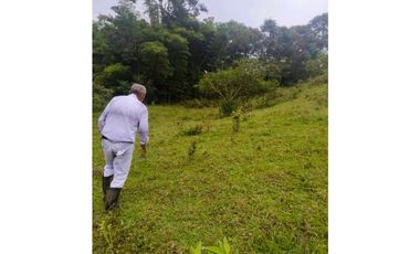 ANOLAIMA FINCA EN VENTA 15.000M2