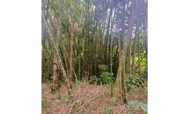 ANOLAIMA FINCA EN VENTA 15.000M2