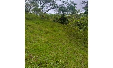 ANOLAIMA FINCA EN VENTA 15.000M2