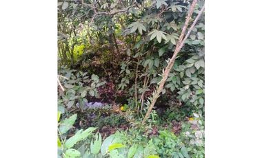 ANOLAIMA FINCA EN VENTA 15.000M2