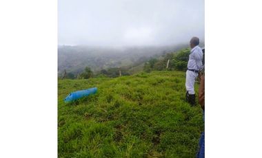 ANOLAIMA FINCA EN VENTA 15.000M2