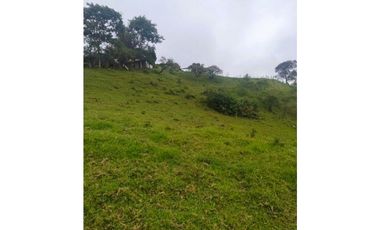 ANOLAIMA FINCA EN VENTA 15.000M2