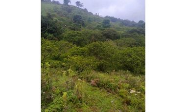 ANOLAIMA FINCA EN VENTA 15.000M2