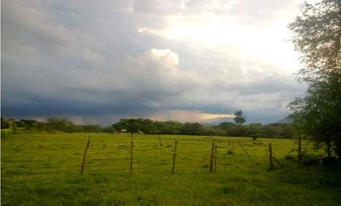 VENTA DE LOTE EN EL CORREGIMIENTO DEL HORMIGUERO VEREDA CASCAJAL