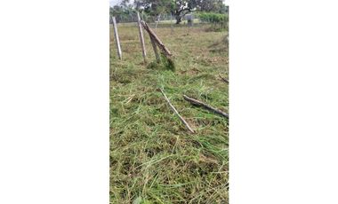 VENDO TERRENO 1000 M2 EN CHAME LAS LAJAS