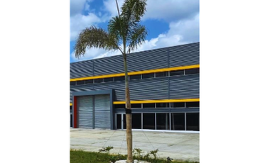 ALQUILER BODEGA 457 M2, PANAMA DISTRIBUTION CENTER