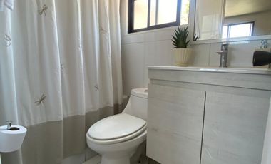 ROJAS MAGALLANES Y JERÓNIMO DE ALDERETE