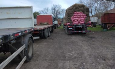 Avate Molina/Naranjal - Sitio - Venta