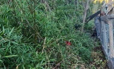 Caupolicán/Saturnino Epulef - Parcela - Venta