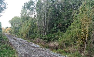Caupolicán/Saturnino Epulef - Parcela - Venta
