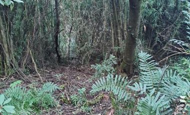 Caupolicán/Saturnino Epulef - Parcela - Venta