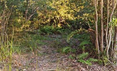 Caupolicán/Saturnino Epulef - Parcela - Venta