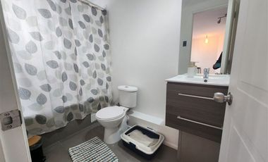 Casa en Arriendo en los remos 221