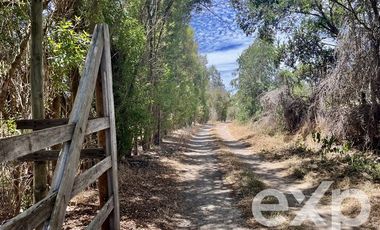 Parcela en Venta en Villa Alegre campo lindo, parcela 8