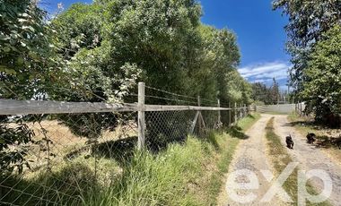 Parcela en Venta en Villa Alegre campo lindo, parcela 8