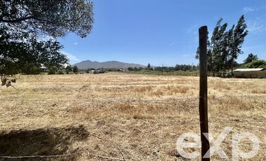 Parcela en Venta en Villa Alegre campo lindo, parcela 8