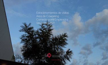 Bodega Industrial en Venta Dentro de Tesistán