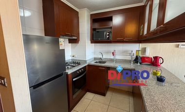 ARRIENDO DEPARTAMENTO FULL AMOBLADO