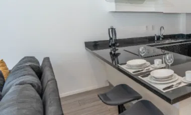 El departamento (unidad privativa 204)