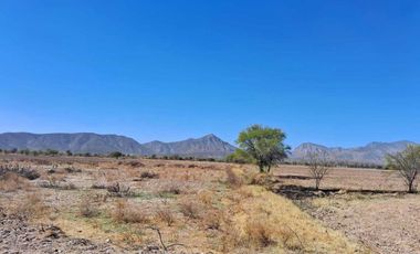 Terreno en venta en Placido Domingo, Lerdo, Durango