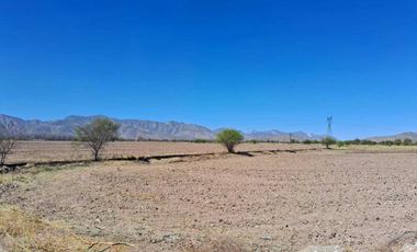 Terreno en venta en Placido Domingo, Lerdo, Durango