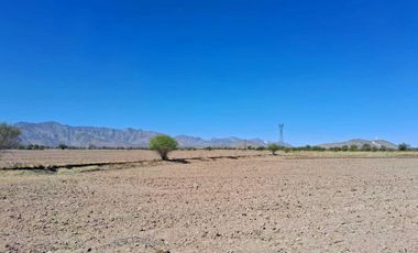 Terreno en venta en Placido Domingo, Lerdo, Durango