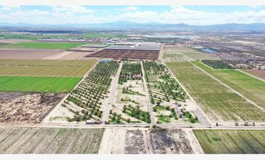 Finca-Rancho en Venta en El Vergel, Gómez Palacio, Durango