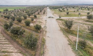 Finca-Rancho en Venta en El Vergel, Gómez Palacio, Durango