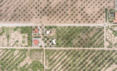 Finca-Rancho en Venta en El Vergel, Gómez Palacio, Durango