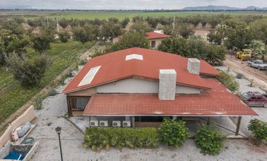 Finca-Rancho en Venta en El Vergel, Gómez Palacio, Durango