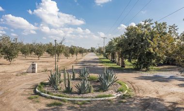 Finca-Rancho en Venta en El Vergel, Gómez Palacio, Durango