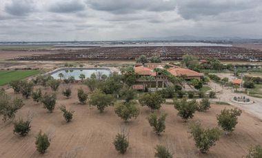 Finca-Rancho en Venta en El Vergel, Gómez Palacio, Durango