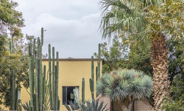 Finca-Rancho en Venta en El Vergel, Gómez Palacio, Durango
