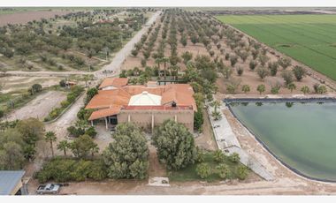 Finca-Rancho en Venta en El Vergel, Gómez Palacio, Durango