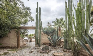 Finca-Rancho en Venta en El Vergel, Gómez Palacio, Durango