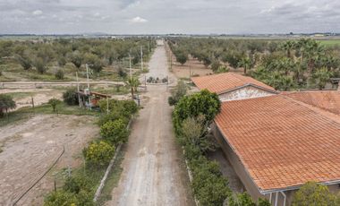 Finca-Rancho en Venta en El Vergel, Gómez Palacio, Durango