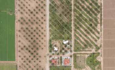 Finca-Rancho en Venta en El Vergel, Gómez Palacio, Durango