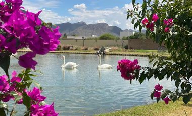 Terreno en Venta en Ciudad Juárez, Lerdo, Durango