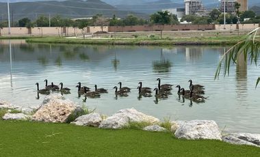 Terreno en Venta en Ciudad Juárez, Lerdo, Durango