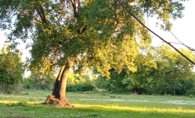 SE VENDE PARCELA CON CASA - OBRA GRUESA LISTA