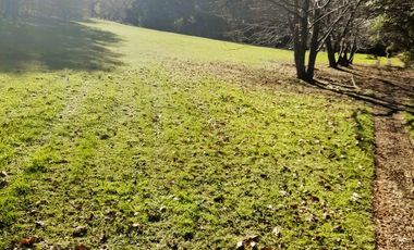 MARAVILLOSA CASA EN LAGO COLICO