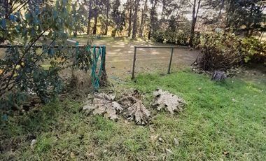 MARAVILLOSA CASA EN LAGO COLICO