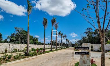 Losantos Cancún Lote en Venta