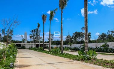 Losantos Cancún Lote en Venta