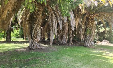 Gran Oportunidad Para Inversionistas  Parcela Parque